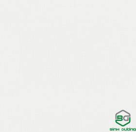 Giấy Dán Tường Base 2021