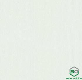 Giấy Dán Tường Base 2021