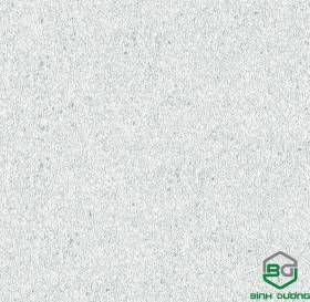 Giấy Dán Tường Base 2021