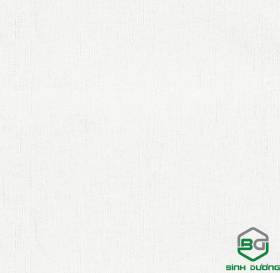 Giấy Dán Tường Base 2021