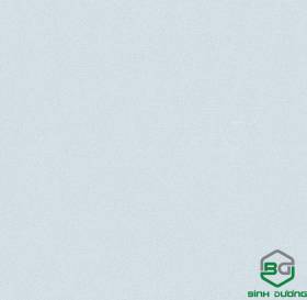 Giấy Dán Tường Base 2021