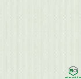 Giấy Dán Tường Base 2021