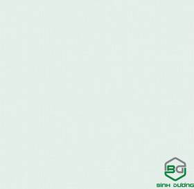 Giấy Dán Tường Base 2021