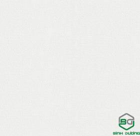 Giấy Dán Tường Base 2021
