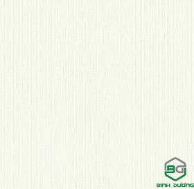 Giấy Dán Tường Base 2021