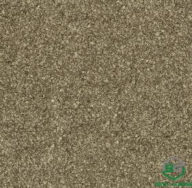 Giấy Dán Tường Base 2021