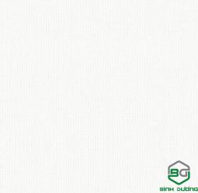 Giấy Dán Tường Base 2021