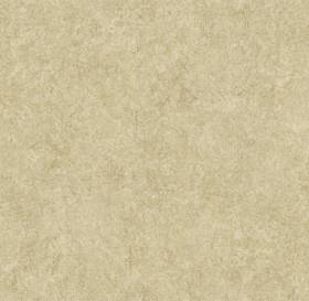 GIẤY DÁN TƯỜNG HÀN QUỐC CHÍNH HÃNG
