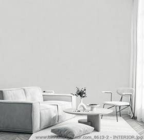 GIẤY DÁN TƯỜNG JOINUS-INTERIOR IMAGES 2024