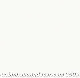 GIẤY DÁN TƯỜNG SKETCH 2022