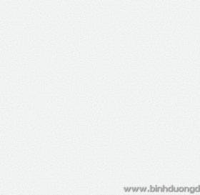 GIẤY DÁN TƯỜNG THE ONE 2023