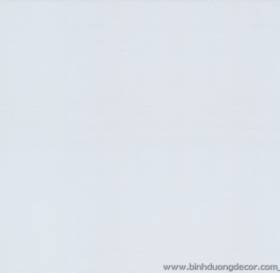 GIẤY DÁN TƯỜNG THE ONE 2023