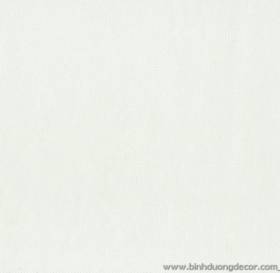 GIẤY DÁN TƯỜNG THE ONE 2023