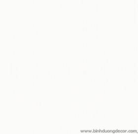 GIẤY DÁN TƯỜNG THE ONE 2023