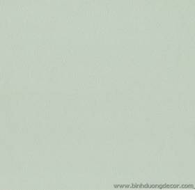GIẤY DÁN TƯỜNG THE ONE 2023