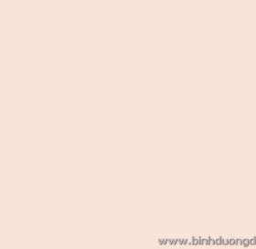 GIẤY DÁN TƯỜNG THE ONE 2023