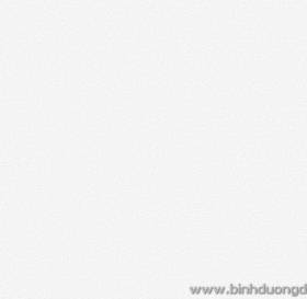 GIẤY DÁN TƯỜNG THE ONE 2023