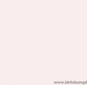 GIẤY DÁN TƯỜNG THE ONE 2023