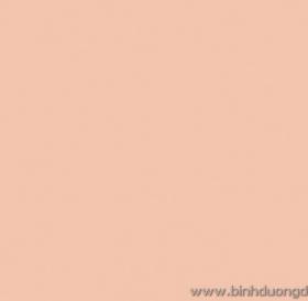 GIẤY DÁN TƯỜNG THE ONE 2023