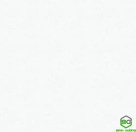 Giấy Dán Tường V-CONCEPT 2020