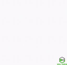 Giấy Dán Tường V-CONCEPT 2020