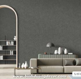 Giấy Dán Tường XAVIA 2022