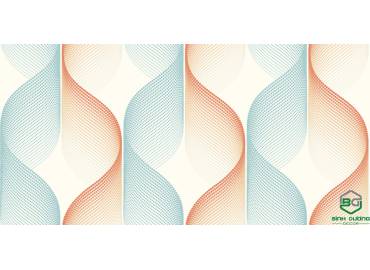 pro-pic-detail
