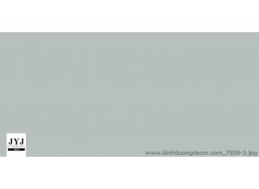 pro-pic-detail