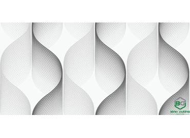 pro-pic-detail