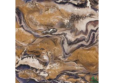pro-pic-detail