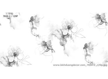 pro-pic-detail