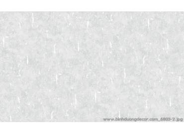 pro-pic-detail