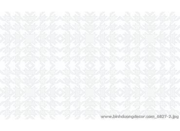 pro-pic-detail