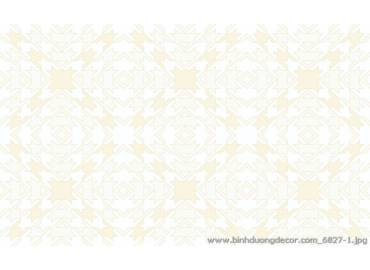 pro-pic-detail