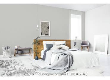 pro-pic-detail