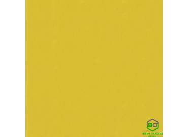 pro-pic-detail