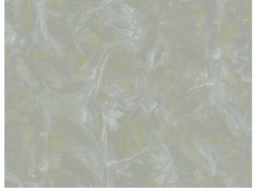 pro-pic-detail
